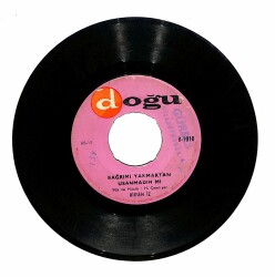Birsen İz - Bağrımı Yakmaktan Usanmadın mı Felek Plak (106) PLK19827 - 1