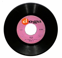 Birsen İz - Bağrımı Yakmaktan Usanmadın mı Felek Plak (106) PLK19827 - 2