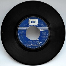 Bora Ayanoğlu - Rose Marie PLK4551 - 2