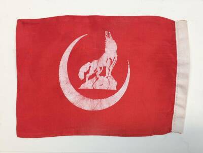 Bozkurt Temalı Eski Kumaş Bayrak AKS1198 - 1