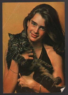 Brooke Shields Büyük Boy Kartpostal KRT4758 - 1