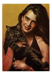 Brooke Shields Kartpostal KRT8920 - Gökçekoleksiyon