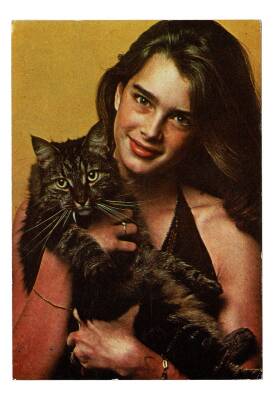 Brooke Shields Kartpostal KRT8920 - 1
