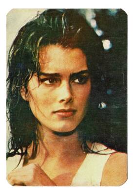 Brooke Shields Kartpostal KRT8924 - 1