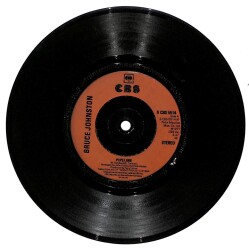 Bruce Johnston - Pipeline - Disney Girls (107) PLK16348 - 1