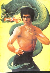 Bruce Lee Kartpostal (Orta Boy) KRT22391 - Gökçekoleksiyon