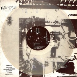 Bryan FuryOphidianForsaken - Metathesiophobia (2005 - Hollanda) Hardcore, IDM - 2