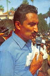 Bülent Ecevit Kartpostal (Küçük Boy) KRT22421 - Gökçekoleksiyon