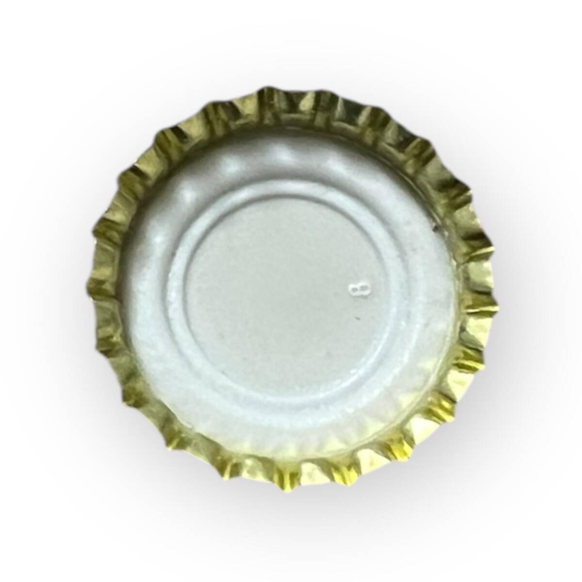 Çamlıca Gazoz Kapağı CMK9-AOB5202 - 2