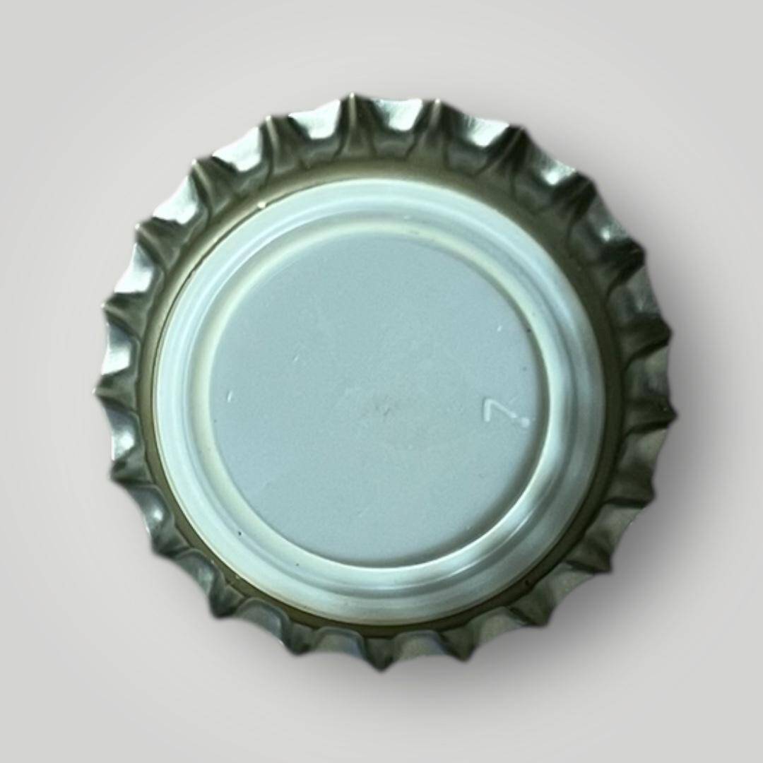 ÇAMLIK KIZILCAHAMAM Maden Suyu Sodası Basılmamış Gazoz Kapağı CMK1-1194 - 2