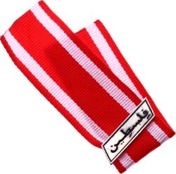 Çanakkale Filistin Cephe Gümüş Levhalı Madalya Askısı MVM413 - Gökçekoleksiyon