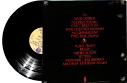 Cat Stevens - Greatest Hits (İngiltere Baskı) LP PLAK (10/8.5) PLK25974 - 2