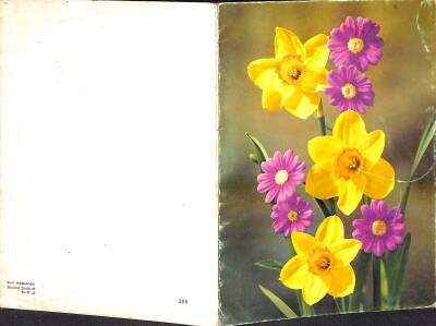 ÇÇiçek Temalı Açılır Kapaklı Kartpostal KRT2740 - 2