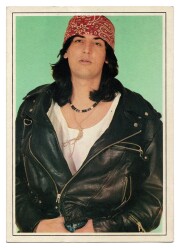 Çelik Kartpostal KRT8713 - Gökçekoleksiyon