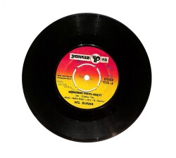 Nil Burak - Dünyamı Yıktı Geçti / Kırk Yılda Bir PLAK (10/7.5) PLK24516 - Gökçekoleksiyon