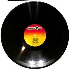 Ceylan Ece - Meçhul Sevgili LP PLAK (10/7.5) PLK26480 - 3