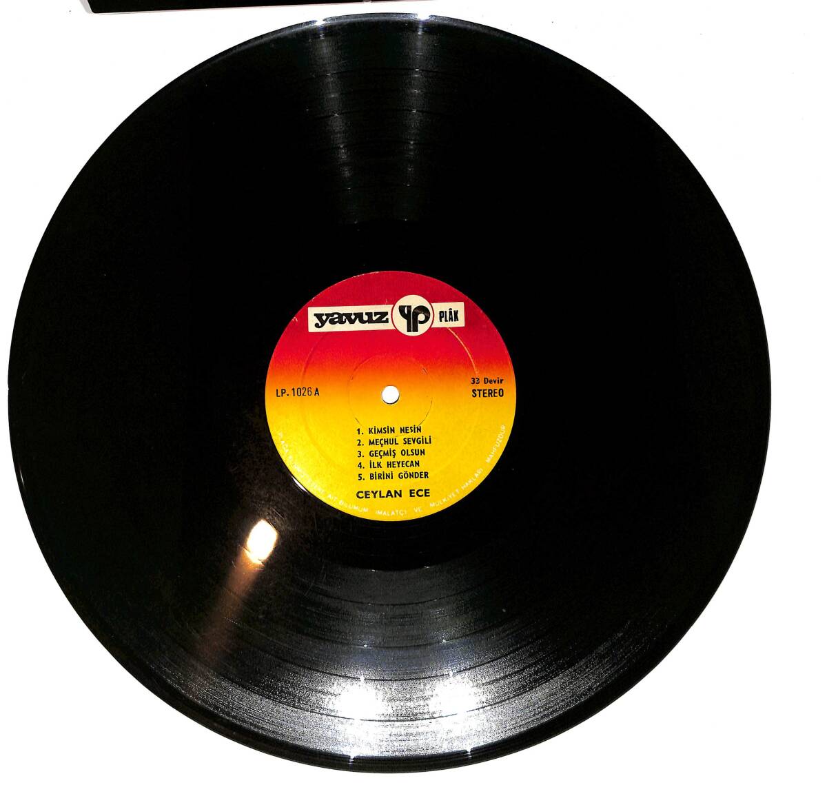 Ceylan Ece - Meçhul Sevgili LP PLAK (10/7.5) PLK26480 - 3