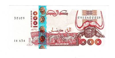 Cezayir 1000 Dinar 1998 ÇİL YKP7688 - 1