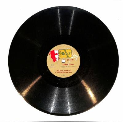 Charles Norman - James Point Playing On The Zither TAŞ PLAK (106.5) PLK22945 - 1