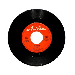 Renate Und Werner Leismann – Im Kleinen Dorf Am Rio Grande / Tampico PLAK (10/8) PLK25792 - Gökçekoleksiyon