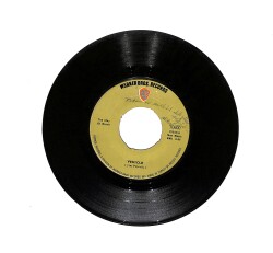 Jim Peterik - Vehicle / Lead Me Home Gently PLAK (10/7.5) PLK24250 - Gökçekoleksiyon