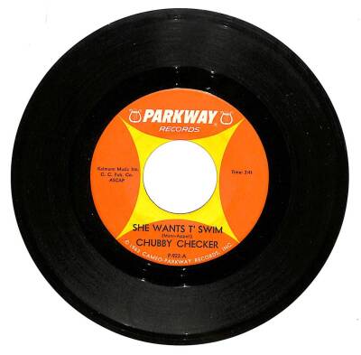 Chubby Checker - She Wants T Swim - You Better Believe It Baby (107) PLK16569 - 1
