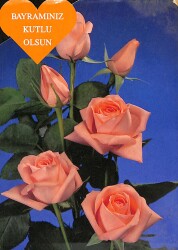 Çiçek Gül Temalı Kartpostal KRT3158 - Gökçekoleksiyon