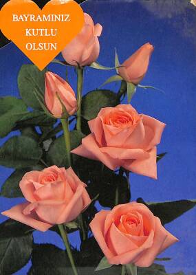 Çiçek Gül Temalı Kartpostal KRT3158 - 1