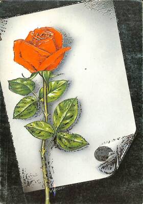 Çiçek Temalı Açılır Kapak Kartpostal KRT11909 - 1