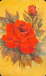 Çiçek Temalı Açılır Kapaklı Kartpostal KRT2717 - 1