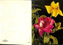 Çiçek Temalı Açılır Kapaklı Kartpostal KRT2719 - 2