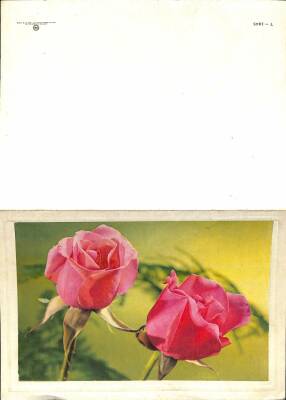Çiçek Temalı Açılır Kapaklı Kartpostal KRT2722 - 2