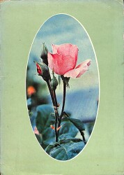 Çiçek Temalı Açılır Kapaklı Kartpostal KRT2723 - 1