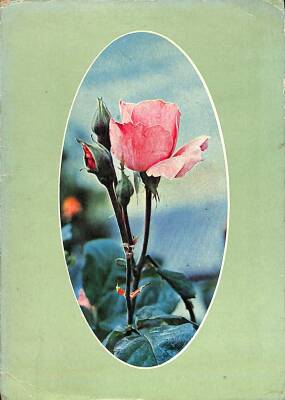 Çiçek Temalı Açılır Kapaklı Kartpostal KRT2723 - 1