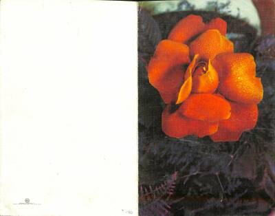 Çiçek Temalı Açılır Kapaklı Kartpostal KRT2729 - 2