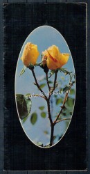 Çiçek Temalı Açılır Kapaklı Kartpostal KRT2731 - 1
