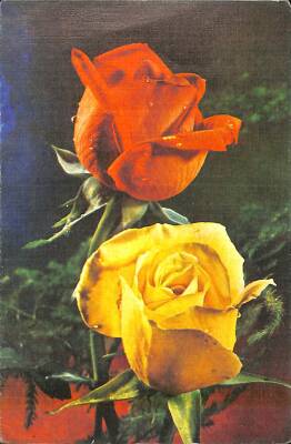 Çiçek Temalı Açılır Kapaklı Kartpostal KRT2732 - 1