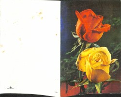 Çiçek Temalı Açılır Kapaklı Kartpostal KRT2732 - 2
