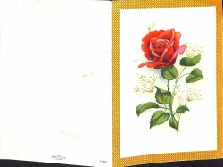 Çiçek Temalı Açılır Kapaklı Kartpostal KRT2734 - 2