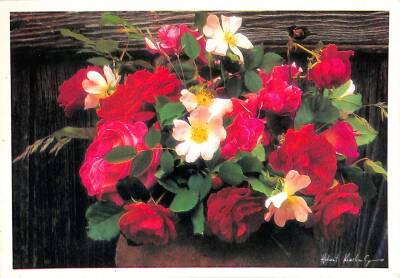 Çiçek Temalı Kartpostal KRT15344 - 1