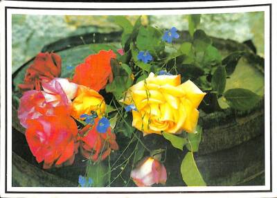 Çiçek Temalı Kartpostal KRT15360 - 1