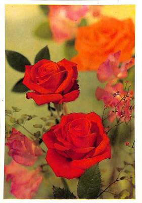 Çiçek Temalı Kartpostal KRT15361 - 1