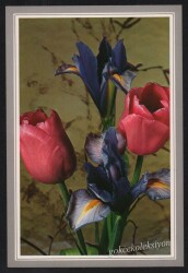 Çiçek Temalı Kartpostal KRT2691 - Gökçekoleksiyon