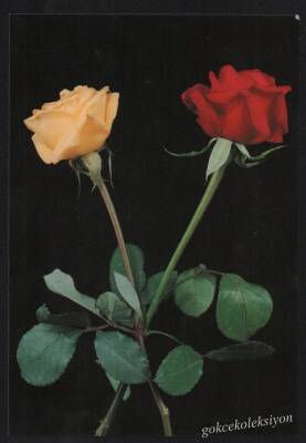 Çiçek Temalı Kartpostal KRT2692 - 1