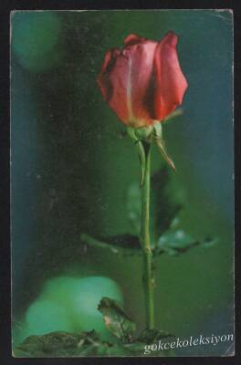 Çiçek Temalı Kartpostal KRT2693 - 1