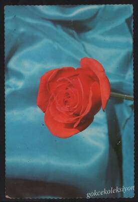 Çiçek Temalı Kartpostal KRT2695 - 1