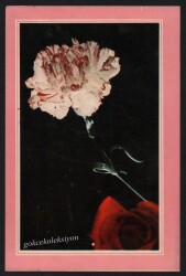 Çiçek Temalı Kartpostal KRT2699 - Gökçekoleksiyon