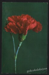 Çiçek Temalı Kartpostal KRT2701 - Gökçekoleksiyon
