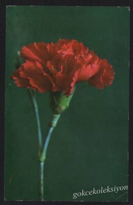 Çiçek Temalı Kartpostal KRT2701 - 1