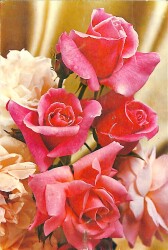 Çiçek Temalı Kartpostal KRT2714 - Gökçekoleksiyon